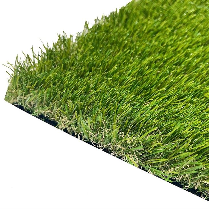 Back Yard Turf