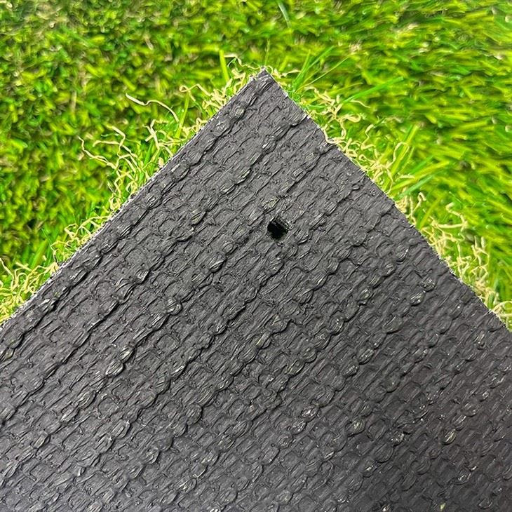 Back Yard Turf