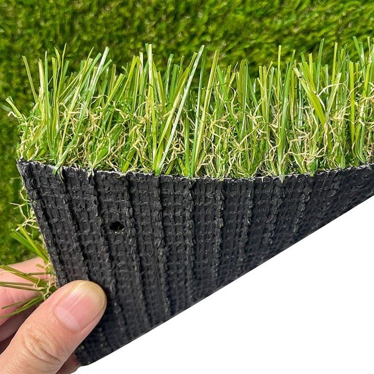 Back Yard Turf