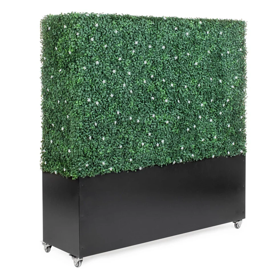 Boxwood Privacy Screens