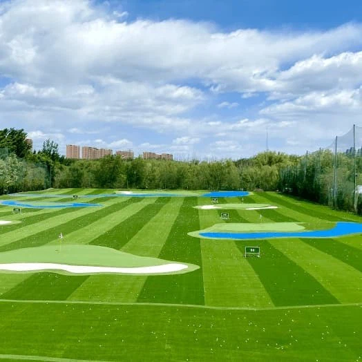 Golf Green Grass