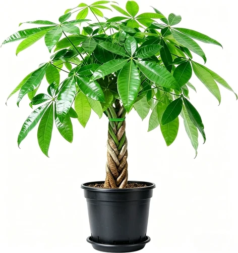 Top 10 Artificial Plants Manufacturers in China 2026