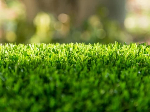 Ecological benefits of artificial plants Ecological benefits of artificial plants