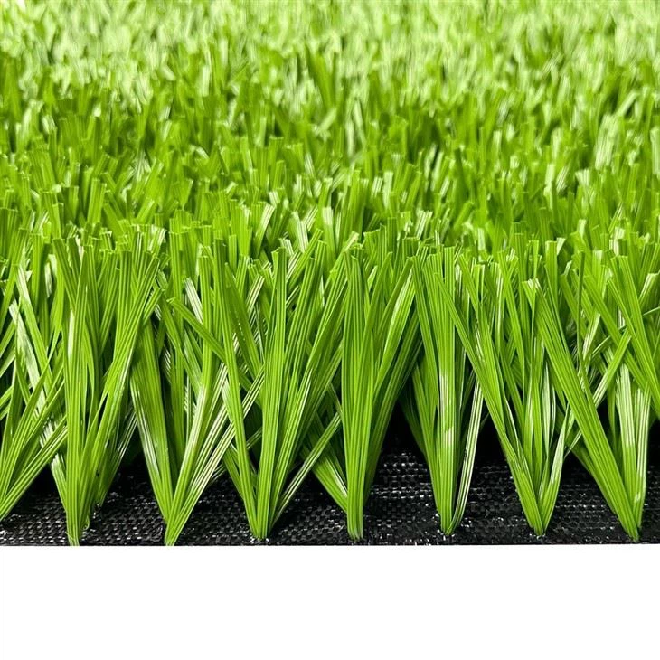 Soccer Field Turf