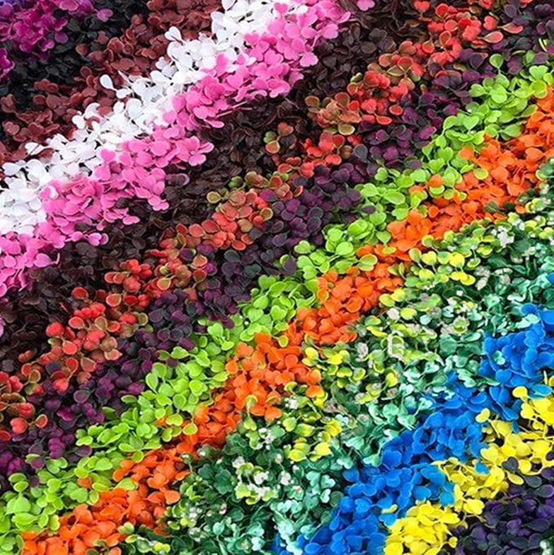 81QH5ulpSwLACSX679 81QH5ulpSwLACSX679