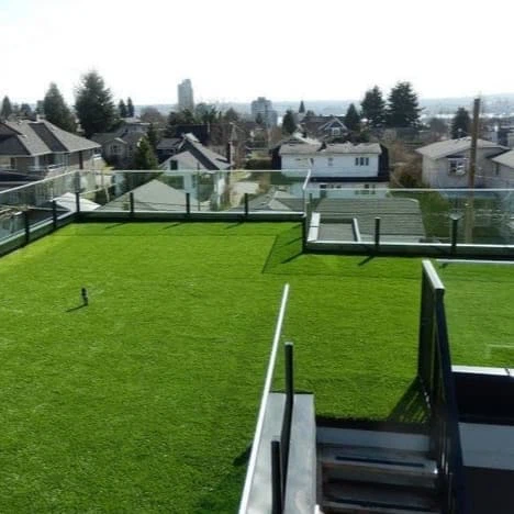 lawn turf 3 lawn turf 3