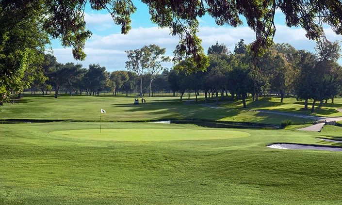 Golf Turf for Landscape Design and Private Lawns Golf Turf for Landscape Design and Private Lawns