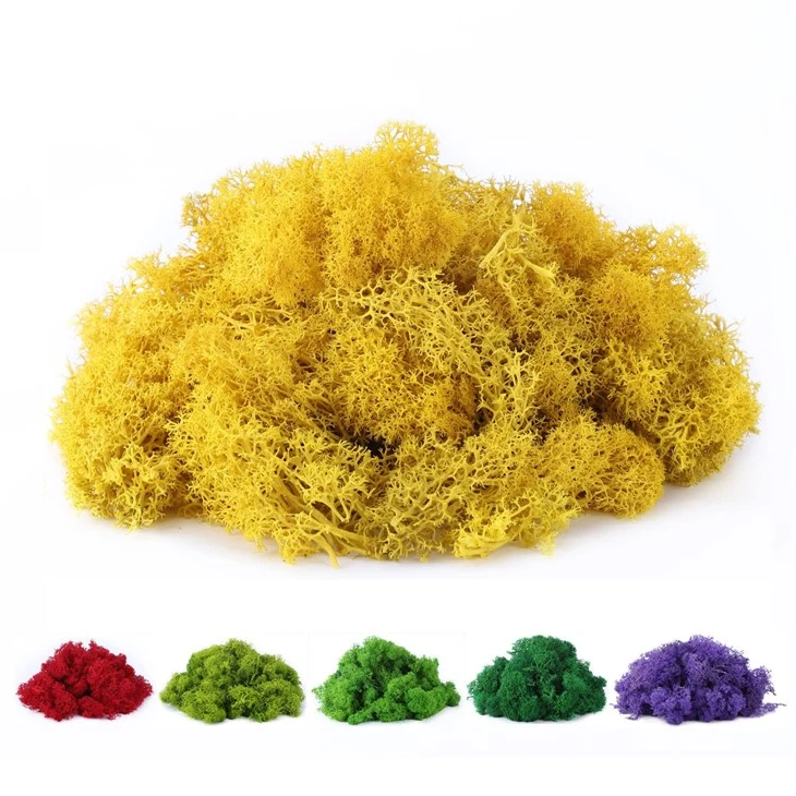 Reindeer Moss Wall