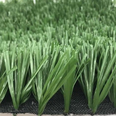 Football Turf Grass