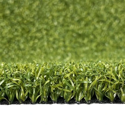 Golf Putting Grass