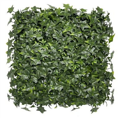 Ivy Hedge Screening