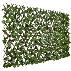 Ivy Privacy Fence