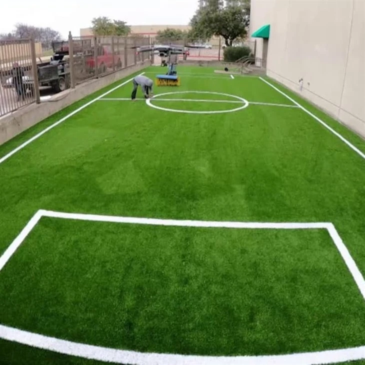 Soccer Arena Turf